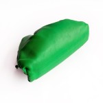 Bottega Veneta The Pouch